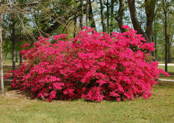 Waipahihi Botanical Gardens